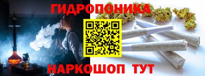 шишки Малгобек