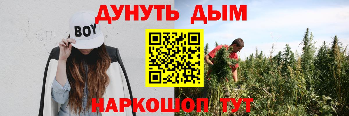 Бошки Шишки White Widow  Каннабис тримм  Бошки Шишки гибрид  Вход с VPN  Елизово 